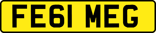 FE61MEG