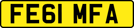 FE61MFA
