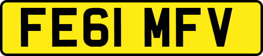 FE61MFV