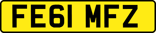 FE61MFZ