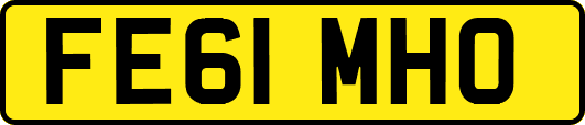 FE61MHO