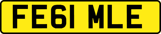 FE61MLE
