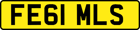 FE61MLS