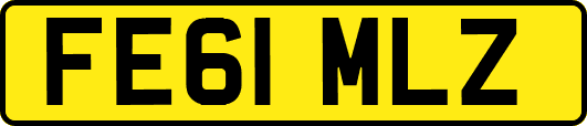 FE61MLZ