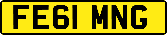 FE61MNG