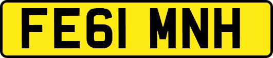 FE61MNH