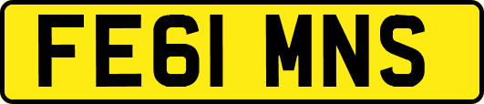 FE61MNS