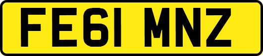 FE61MNZ