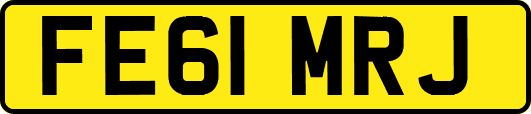 FE61MRJ
