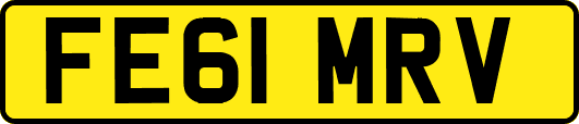 FE61MRV