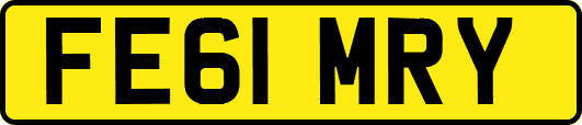 FE61MRY