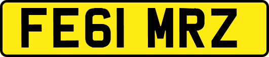 FE61MRZ