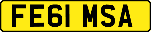 FE61MSA