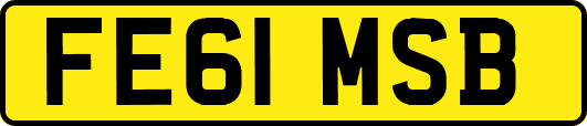 FE61MSB