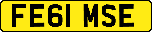 FE61MSE