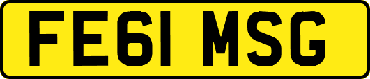 FE61MSG