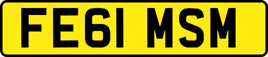 FE61MSM