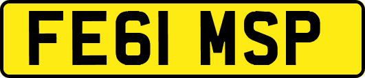 FE61MSP