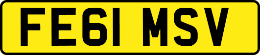 FE61MSV