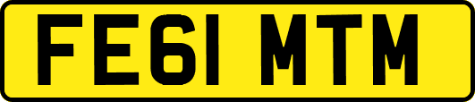 FE61MTM