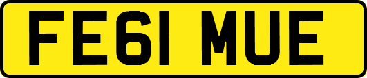 FE61MUE