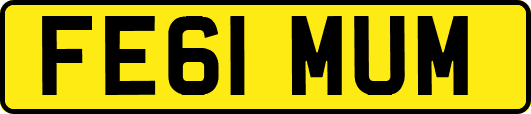 FE61MUM
