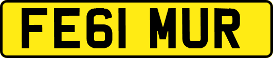 FE61MUR