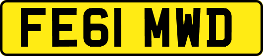 FE61MWD