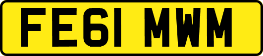 FE61MWM