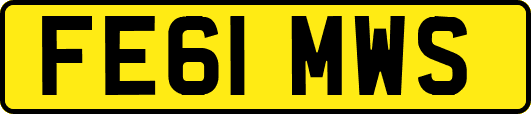 FE61MWS