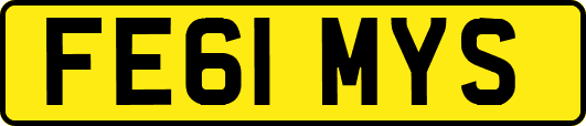 FE61MYS