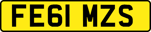 FE61MZS