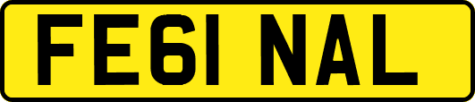 FE61NAL