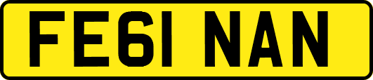 FE61NAN