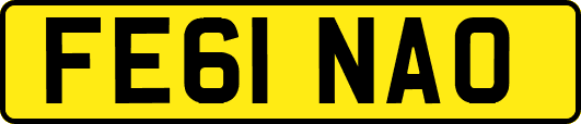 FE61NAO
