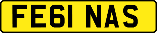 FE61NAS