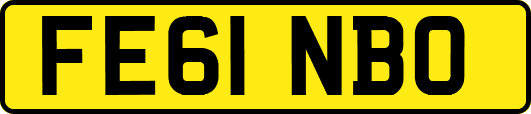 FE61NBO