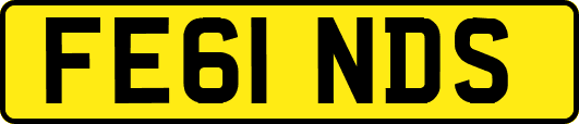 FE61NDS