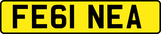 FE61NEA