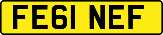 FE61NEF