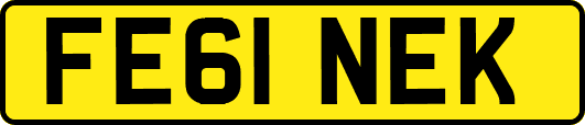 FE61NEK