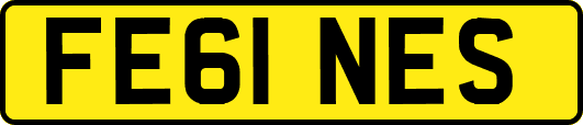 FE61NES