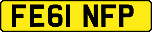 FE61NFP