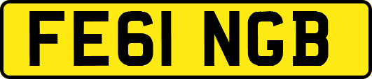 FE61NGB