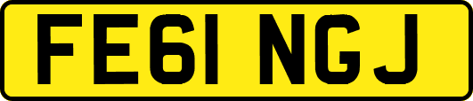 FE61NGJ