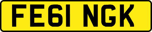 FE61NGK