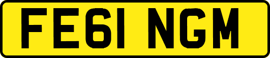 FE61NGM