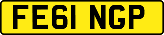 FE61NGP