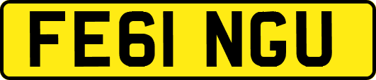 FE61NGU