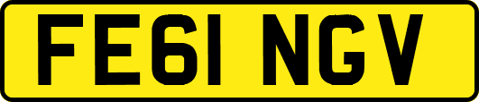 FE61NGV